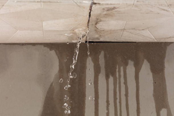 Professional Burst Pipe Cleanup technician working in Savannah, TN